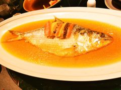 酒香蒸鲥鱼-HOMES上海本帮菜(襄阳公园店)