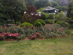 -阿哈湖国家湿地公园