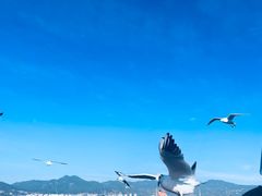 -海埂大坝