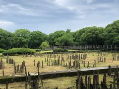 -河姆渡遗址博物馆