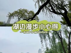 -月湖公园