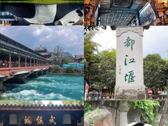 -海合安成都极地海洋公园