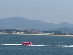 -养马岛旅游度假区