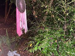 -风车面包