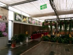 -兰陵国家农业公园