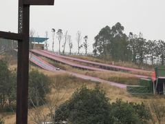 -黄龙溪欢乐田园