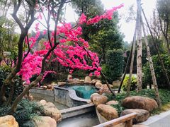 -万象温泉景区