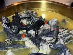 -Darling Queen·Mini·Live·House