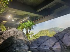 -江和美海洋公园