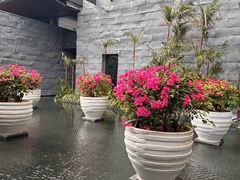 -三亚太阳湾柏悦酒店