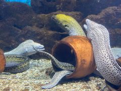 -福州罗源湾海洋世界旅游区