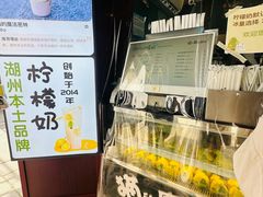 -猫的魔法密林(衣裳街店)