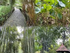-成都杜甫草堂博物馆