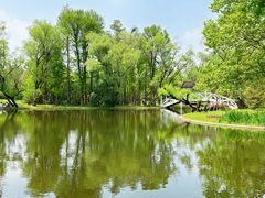 -上海共青森林公园