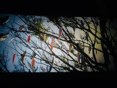 放映厅-橙天嘉禾影城(苏州印象城店)