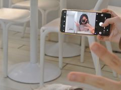 -喵的天空名猫咖啡馆·撸猫·猫舍·用品