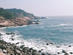 -广东惠东海龟国家级自然保护区