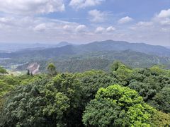 -水濂山森林公园