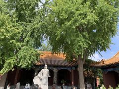 -戏马台景区