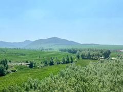 -芍药居北里