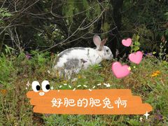 -云峰山自然风景区