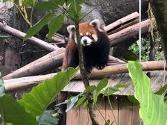 -长鹿旅游休博园