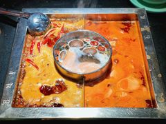 番茄鸳鸯锅-蜀江龙火锅(339店)