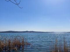 -鲁山国家森林公园