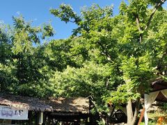 -北京水岸山吧度假村(雁栖镇店)