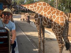 -清迈夜间动物园