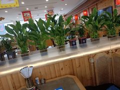 -大清花饺子(山庄店)