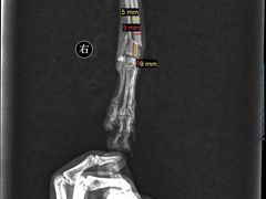 -爱诺耐芙动物医院(万博店)