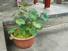 -万寿八仙宫