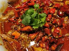 毛血旺-辛香汇(飞洲店)