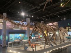 -国家自然博物馆