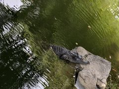 -南昌动物园