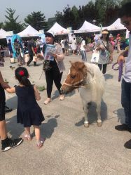 -北京新世纪儿童医院