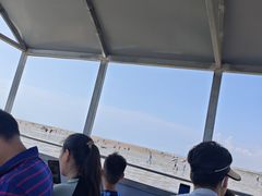 -刘家湾赶海园