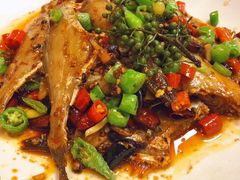 干烧耗儿鱼-洪霞餐馆