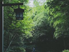 -杭州半山国家森林公园