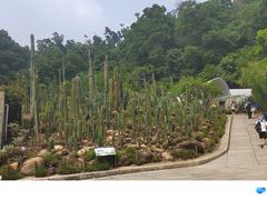 -深圳仙湖植物园