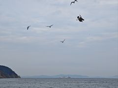 -棒棰岛宾馆景区