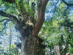 -安溪清水岩