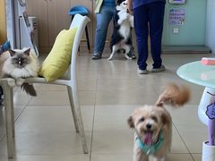 -美迦爱-牙专科·兔科·骨科诊疗中心(北苑店)