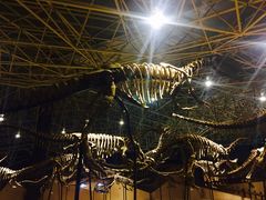 -世界恐龙谷景区