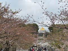 -苏州上方山国家森林公园