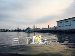 -高雄爱河
