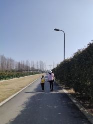 -前小桔亲子创意农场·草莓采摘·露营烧烤