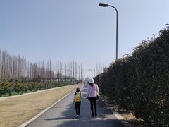 -前小桔亲子创意农场·草莓采摘·露营烧烤