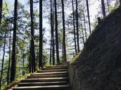 -九华山风景区-东崖禅寺